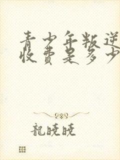 青少年叛逆学校收费是多少钱