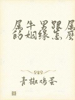 属牛男跟属龙女的姻缘怎么样