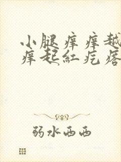 小腿痒痒越挠越痒起红疙瘩怎么办