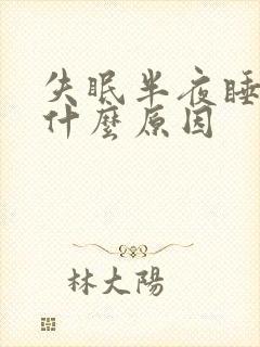 失眠半夜睡不着什么原因