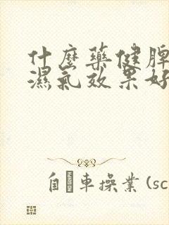 什么药健脾胃去湿气效果好