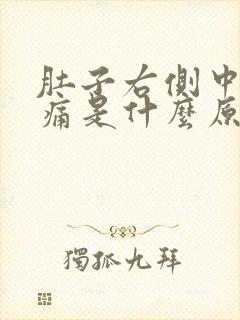 肚子右侧中间疼痛是什么原因