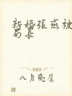 新婚张燕被两个局长封面