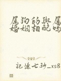 属狗的与属狗的婚姻相配吗