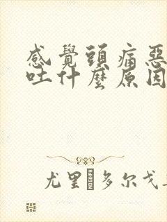 感觉头痛恶心想吐什么原因封面