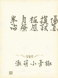 半月板损伤保守治疗应该怎么治封面