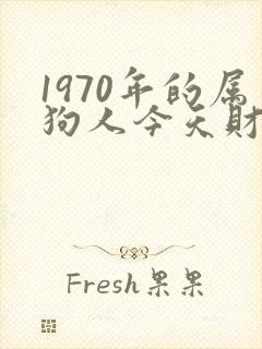 1970年的属狗人今天财运如何