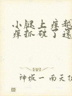 小腿上痒越抓越痒抓破了还痒怎么回事