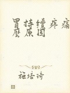 胃持续疼痛是什么原因