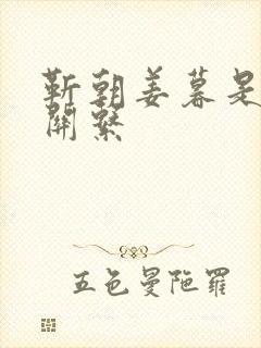 靳朝姜暮是什么关系