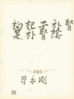 枸杞子补肾阳还是补肾阴