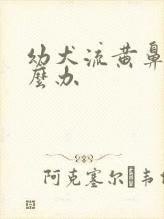 幼犬流黄鼻涕怎么办