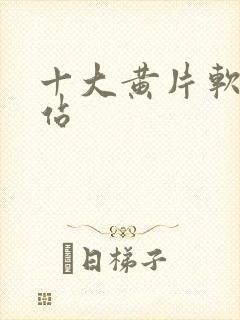 十大黄片软件网站封面