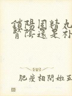 锁阳固精丸是补肾阴还是补肾阳