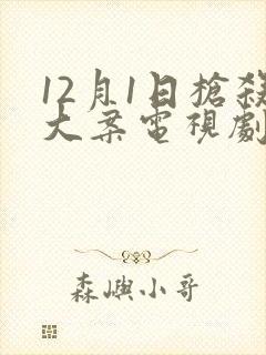 12月1日枪杀大案电视剧