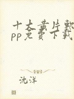 十大黄片软件app免费下载