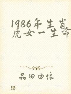 1986年生肖虎女一生命运