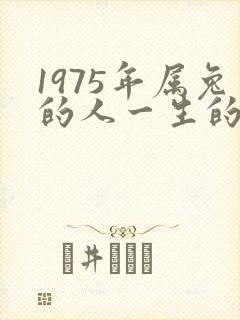 1975年属兔的人一生的命运怎么样
