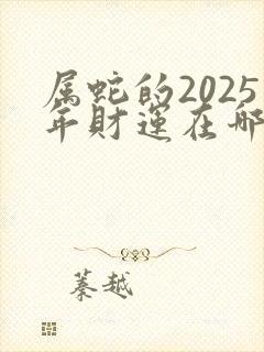 属蛇的2025年财运在哪个位置