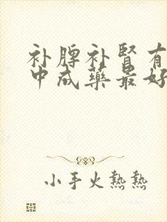 补脾补肾有哪些中成药最好封面