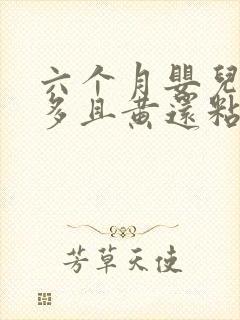 六个月婴儿眼屎多且黄还粘稠