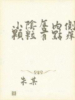 小阴唇内侧长小颗粒有点痒