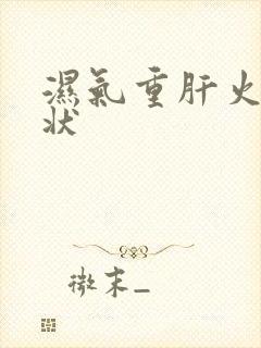 湿气重肝火旺症状