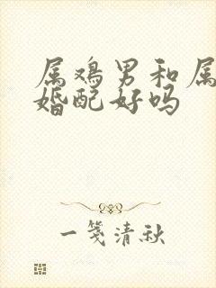 属鸡男和属虎女婚配好吗封面