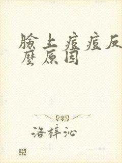 脸上痘痘反复什么原因