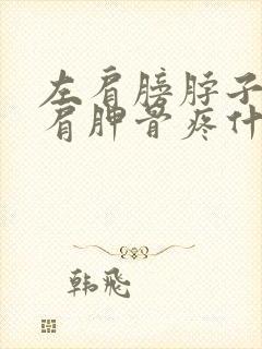 左肩膀脖子下到肩胛骨疼什么原因