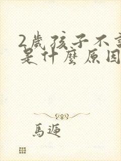 2岁孩子不说话是什么原因