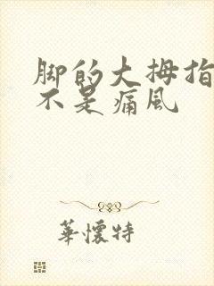 脚的大拇指痛是不是痛风封面