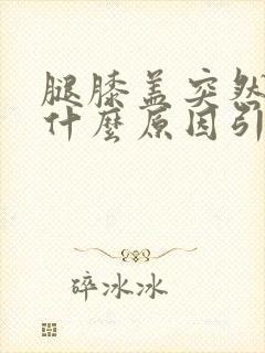 腿膝盖突然疼是什么原因引起的封面