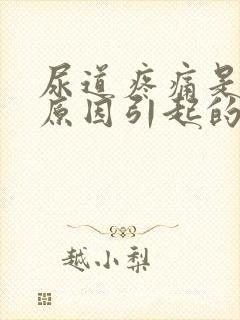 尿道疼痛是什么原因引起的