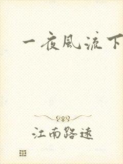 一夜风流下载封面