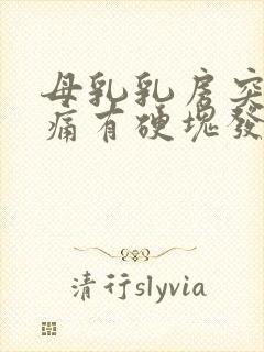 母乳乳房突然胀痛有硬块发烧怎么办