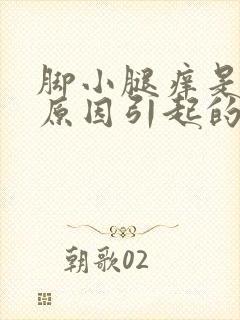 脚小腿痒是什么原因引起的