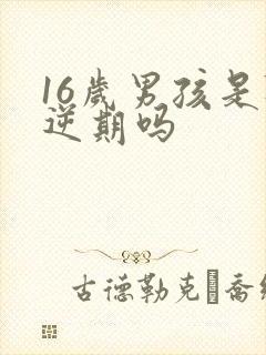 16岁男孩是叛逆期吗