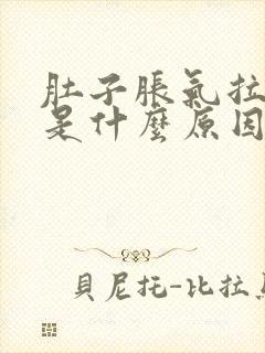 肚子胀气拉水便是什么原因