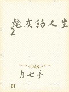 炮灰的人生快穿2