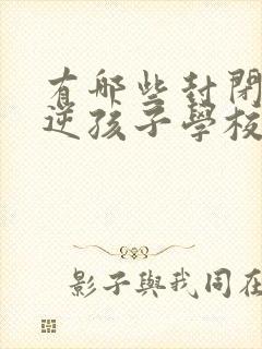 有哪些封闭式叛逆孩子学校封面