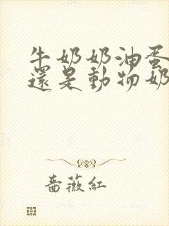 牛奶奶油蛋糕好还是动物奶油蛋糕好