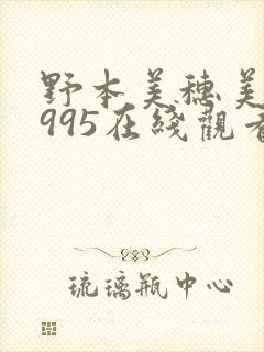 野本美穗美妹1995在线观看封面