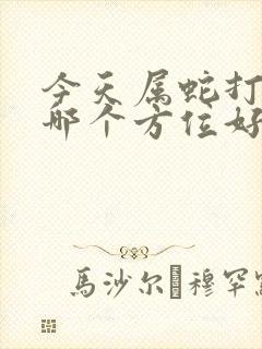 今天属蛇打牌坐哪个方位好