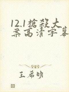 12.1枪杀大案高清字幕版封面