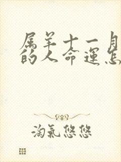 属羊十一月出生的人命运怎么样