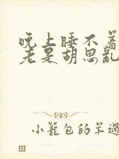 晚上睡不着觉 老是胡思乱想怎么办