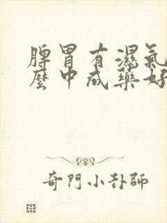 脾胃有湿气吃什么中成药好