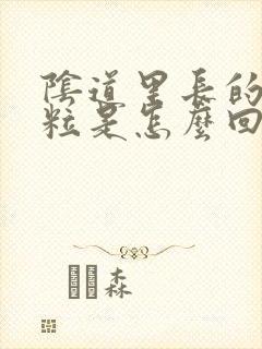 阴道里长的小肉粒是怎么回事