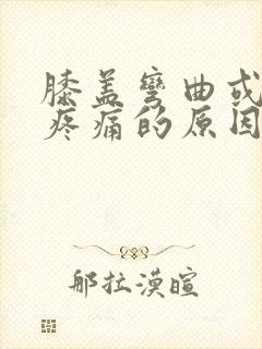 膝盖弯曲或伸直疼痛的原因